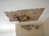 Front bedroom ceiling